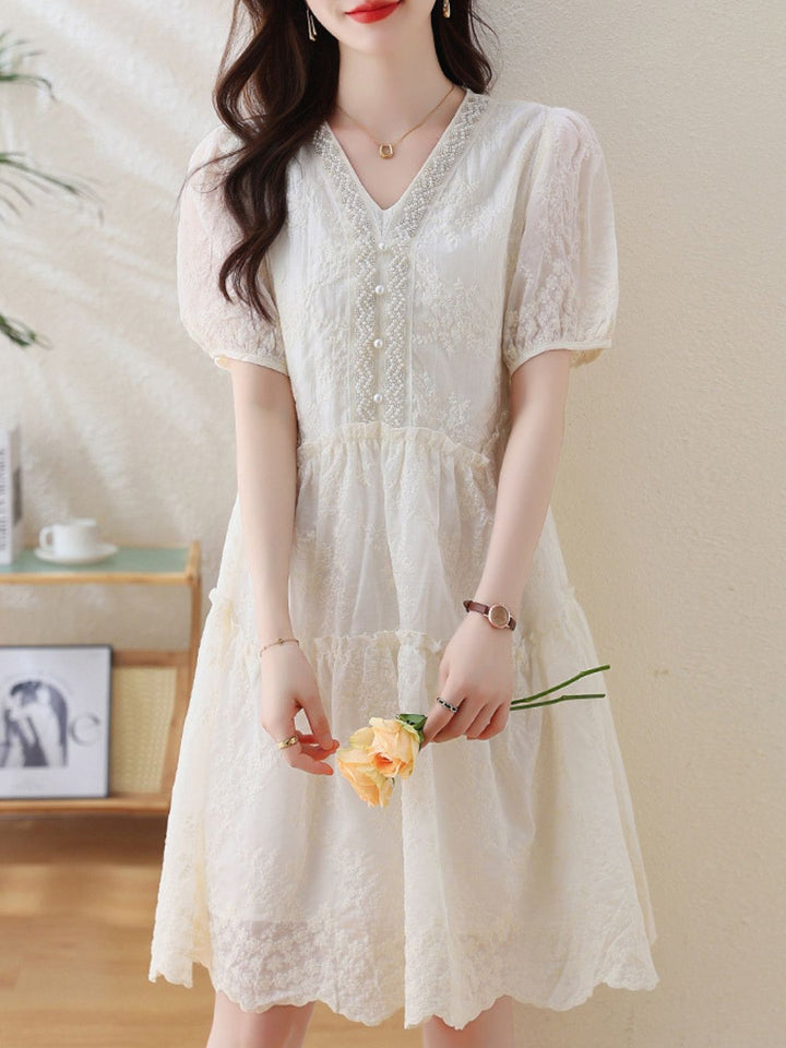 Elegant Embroidered Dress